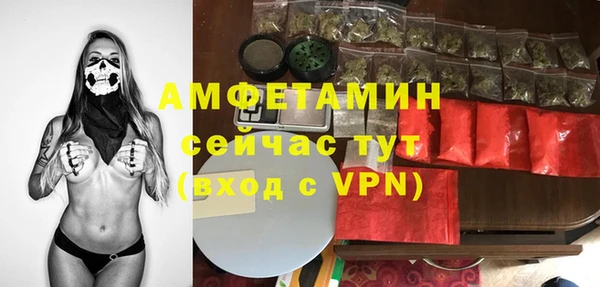 молекула духа Волоколамск