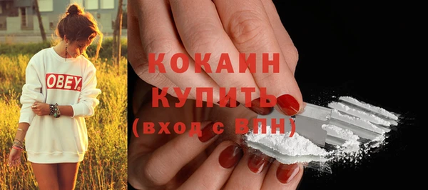 молекула духа Волоколамск